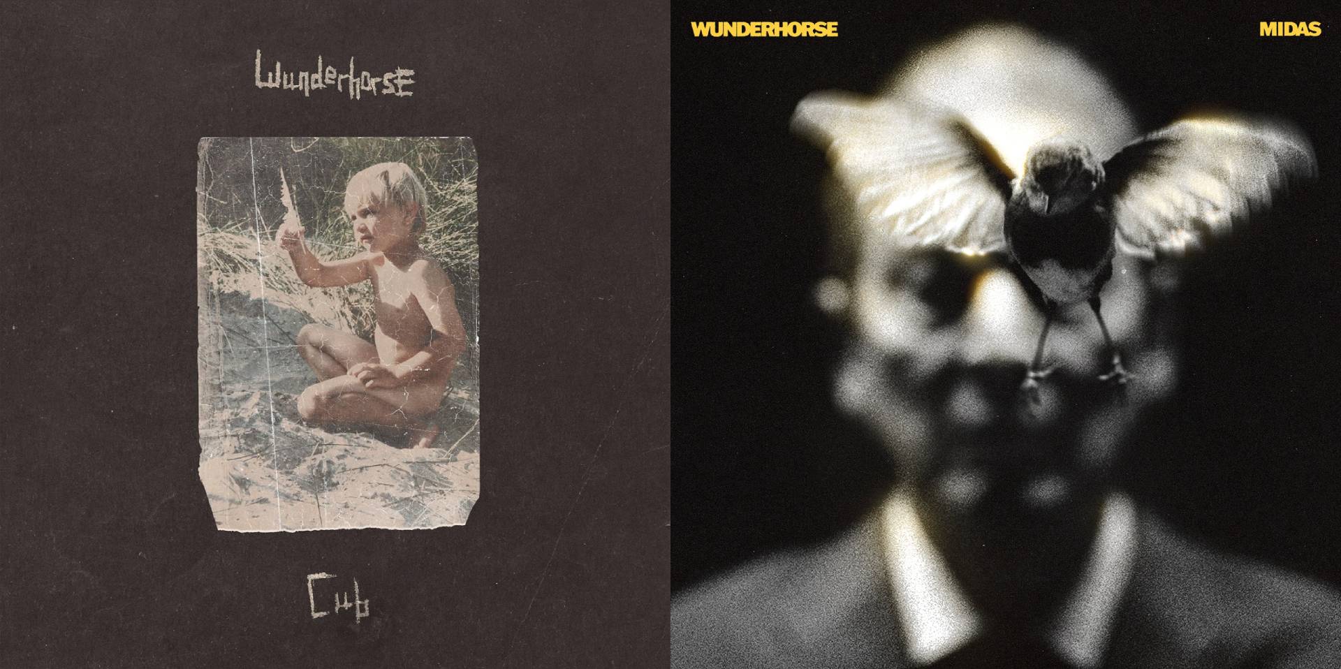 wunderhorse albums